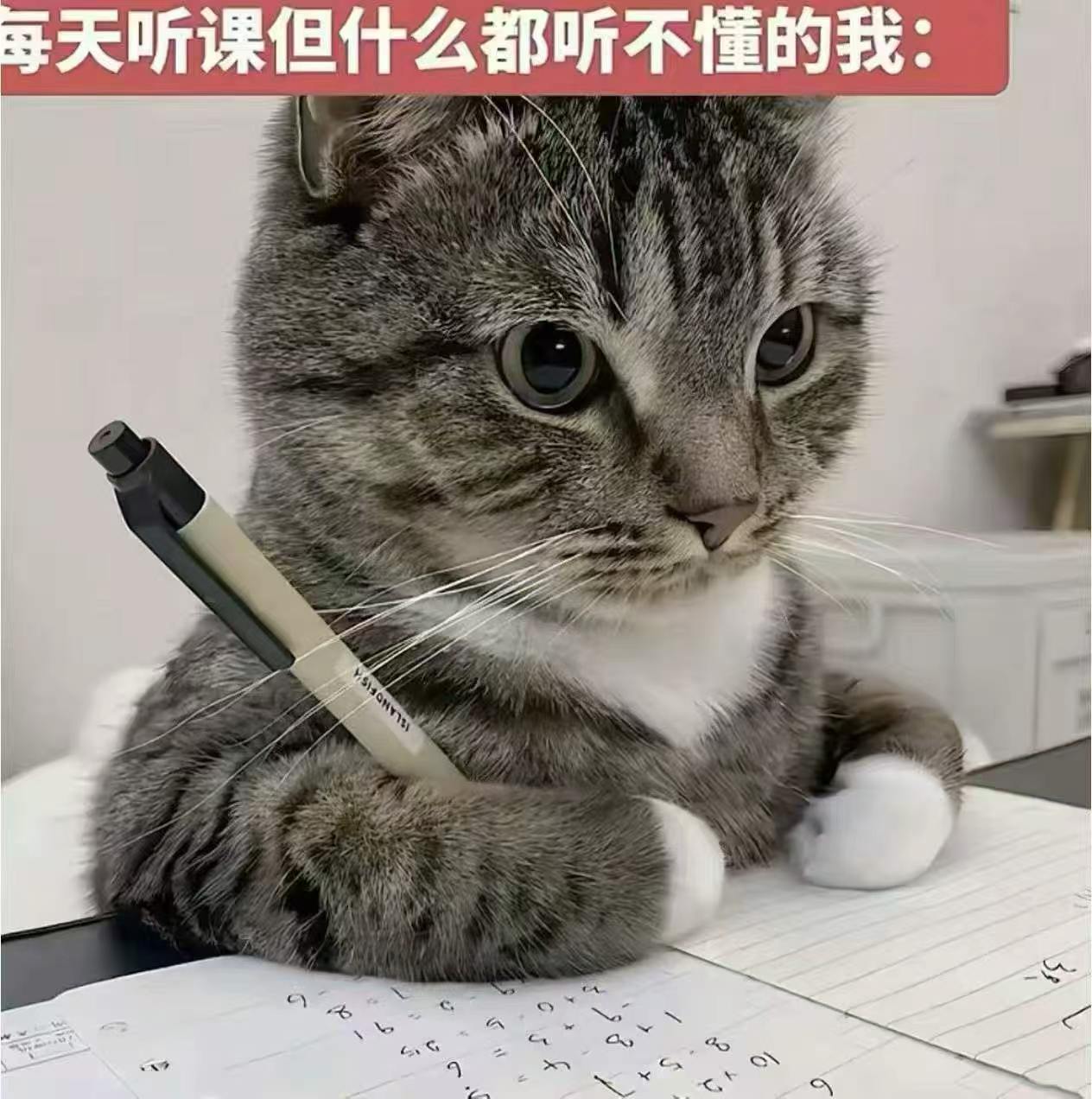 俺 ​​​