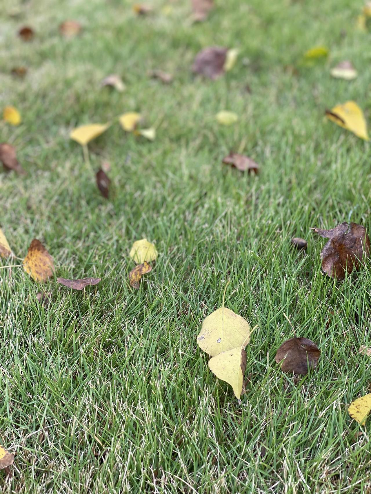 一个人不生气的顶级秘诀就是对什么都不在乎！

当你对什么都不在乎的时候，就没有什