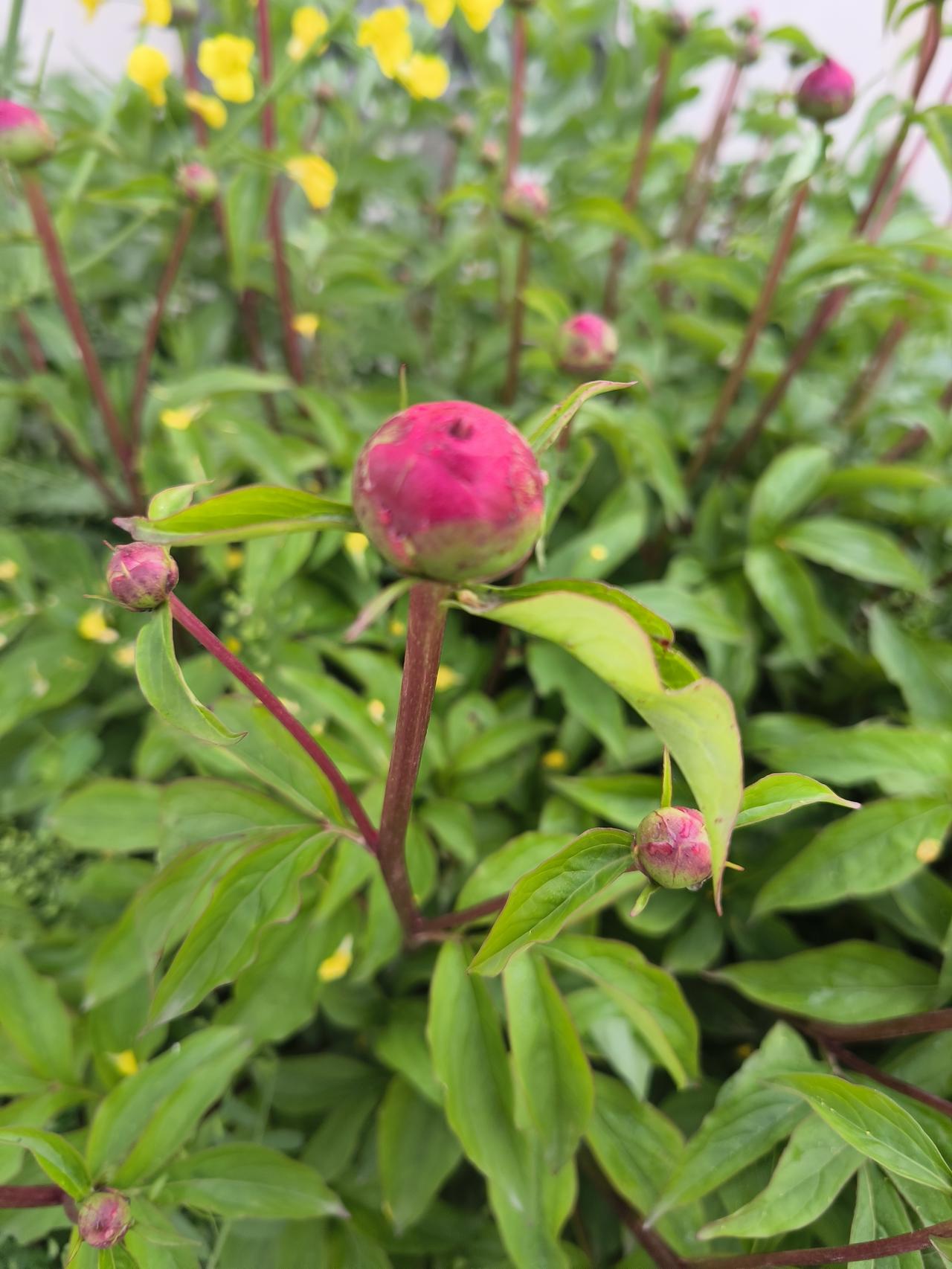 成功靠的是自己,自己靠的是什么?
成功靠的是自己，而自己靠的是内在的支撑力和持续