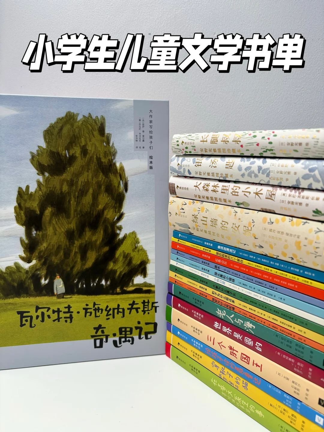 6-12岁✅小学生高质量儿童文学书单