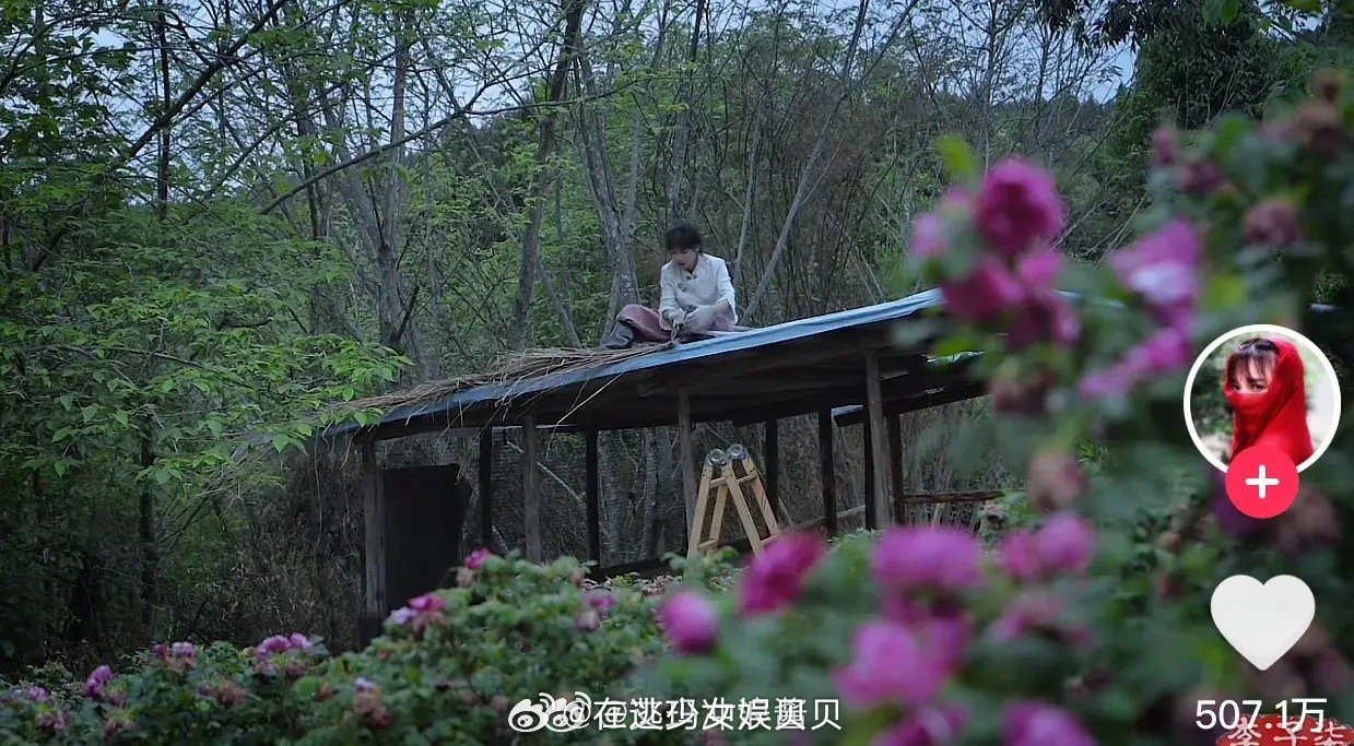 李子柒的视频，虽然好看，但让人产生了很多疑问？1.李子柒的房子是世外桃园吗？周围