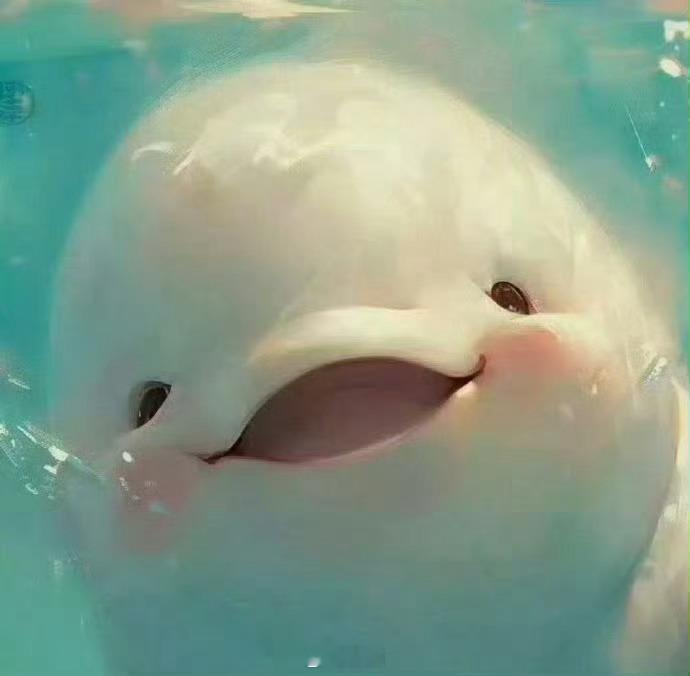 秒赞这只小海豚，你会收到期盼的好消息！ 