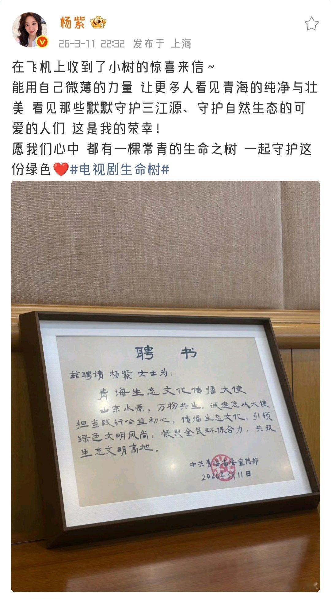20260311在飞机上收到了小树的惊喜来信～能用自己微薄的力量 让更多人看见青