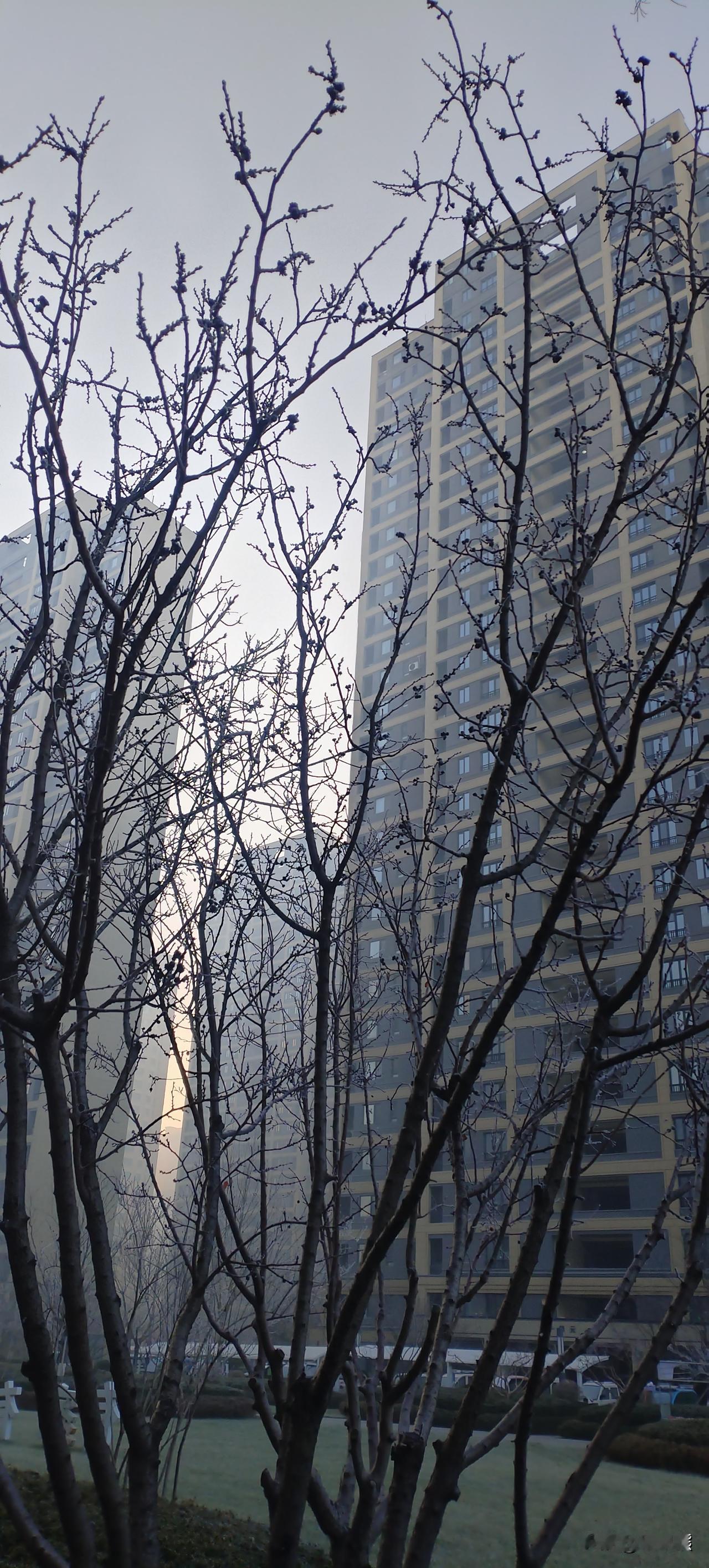 经典的东西，是可以流传下去的，就像《红楼梦》一样，早晨看到央视播的一个片段，林黛