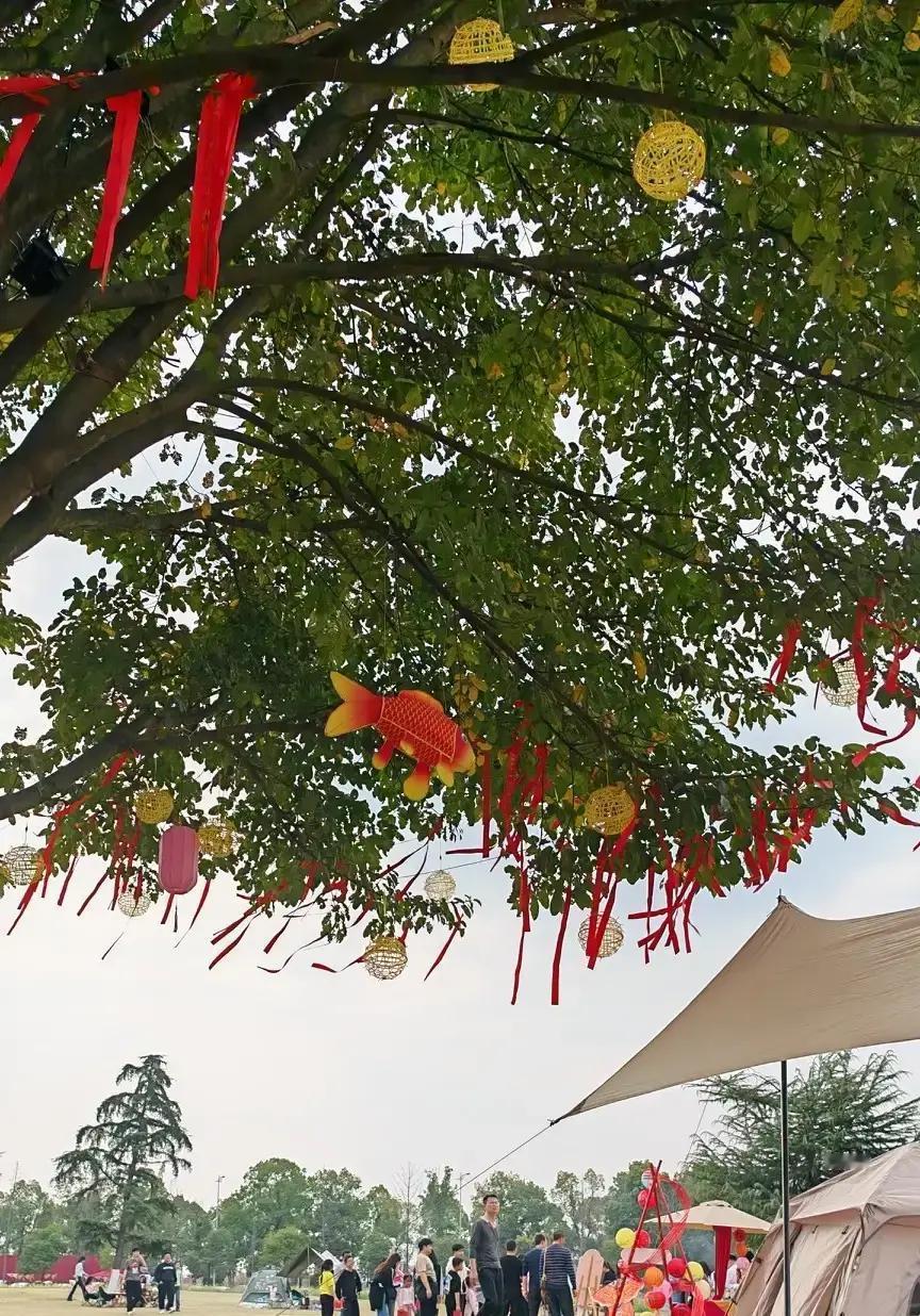 林晚把婆婆凌晨在群里那句“以后春节你们回自己家过”截图发小红书，7天浏览破千万。