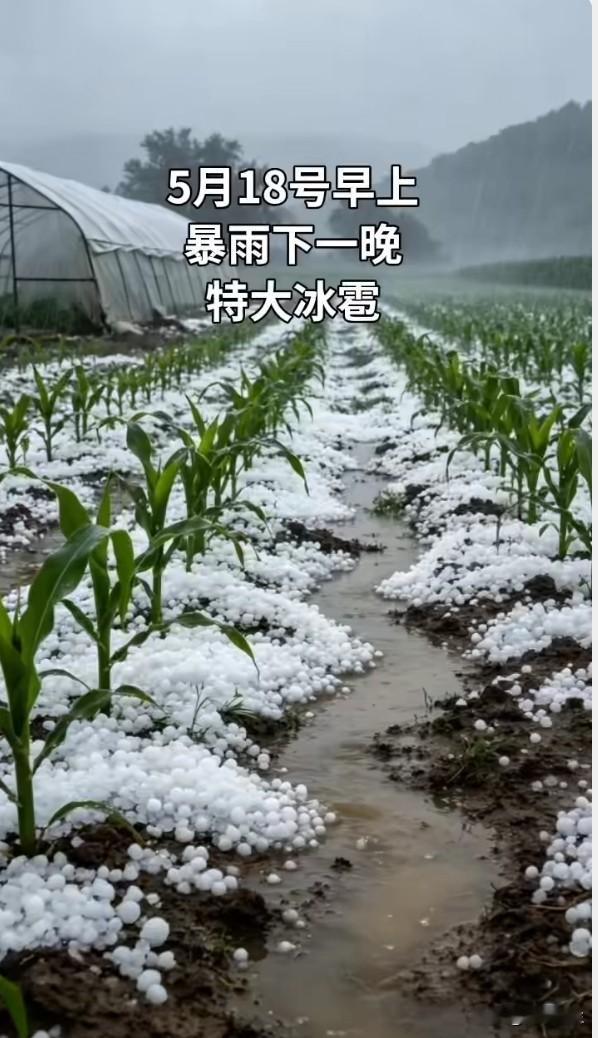 暴雨橙色预警连发，天灾面前我们到底准备好了吗？
7省区大暴雨，雷暴大风说来就来，