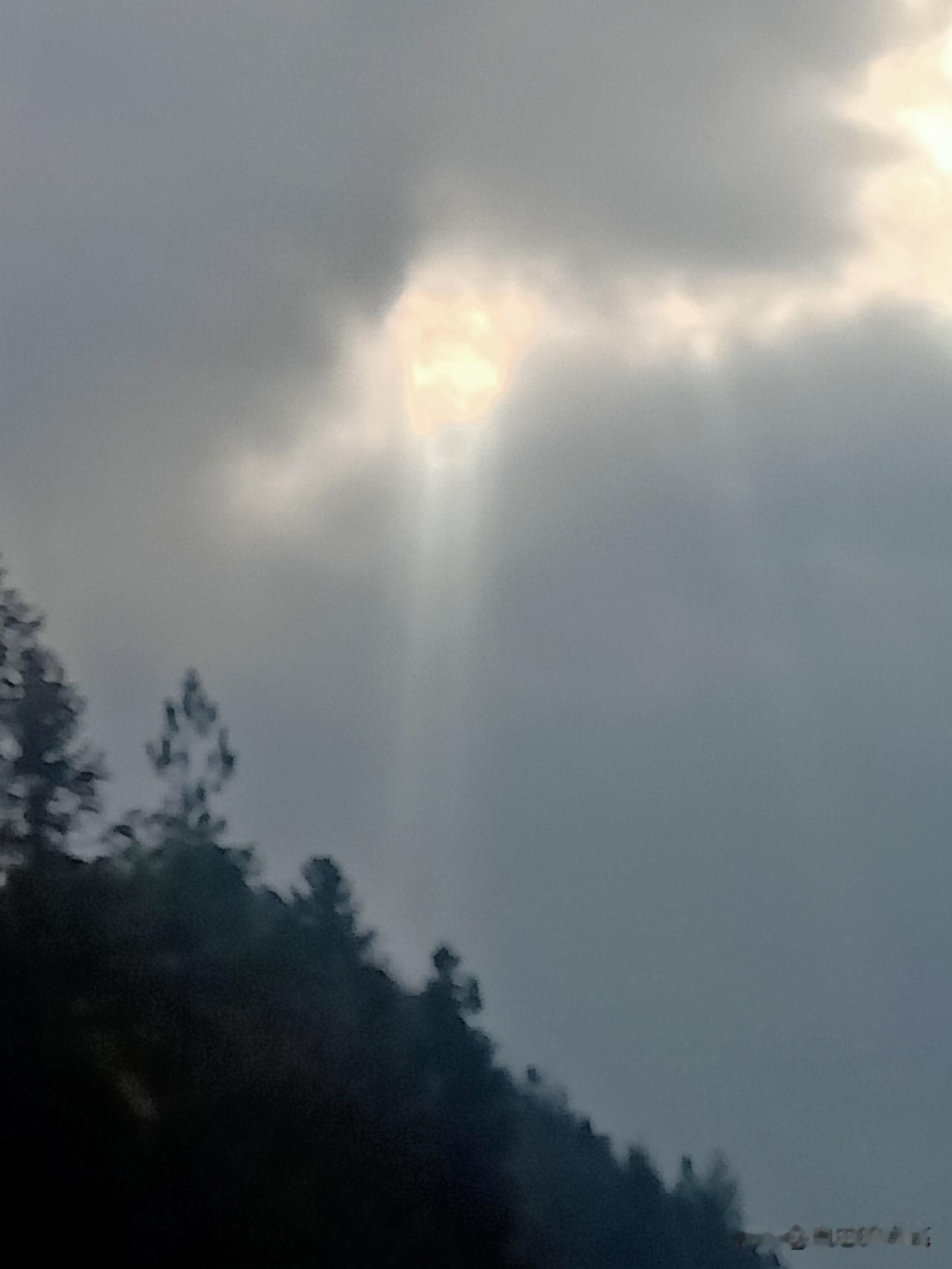 我敢说，任何力量都阻挡不了太阳的光芒，只要有一点空隙，它就会从那里钻出来！
我真