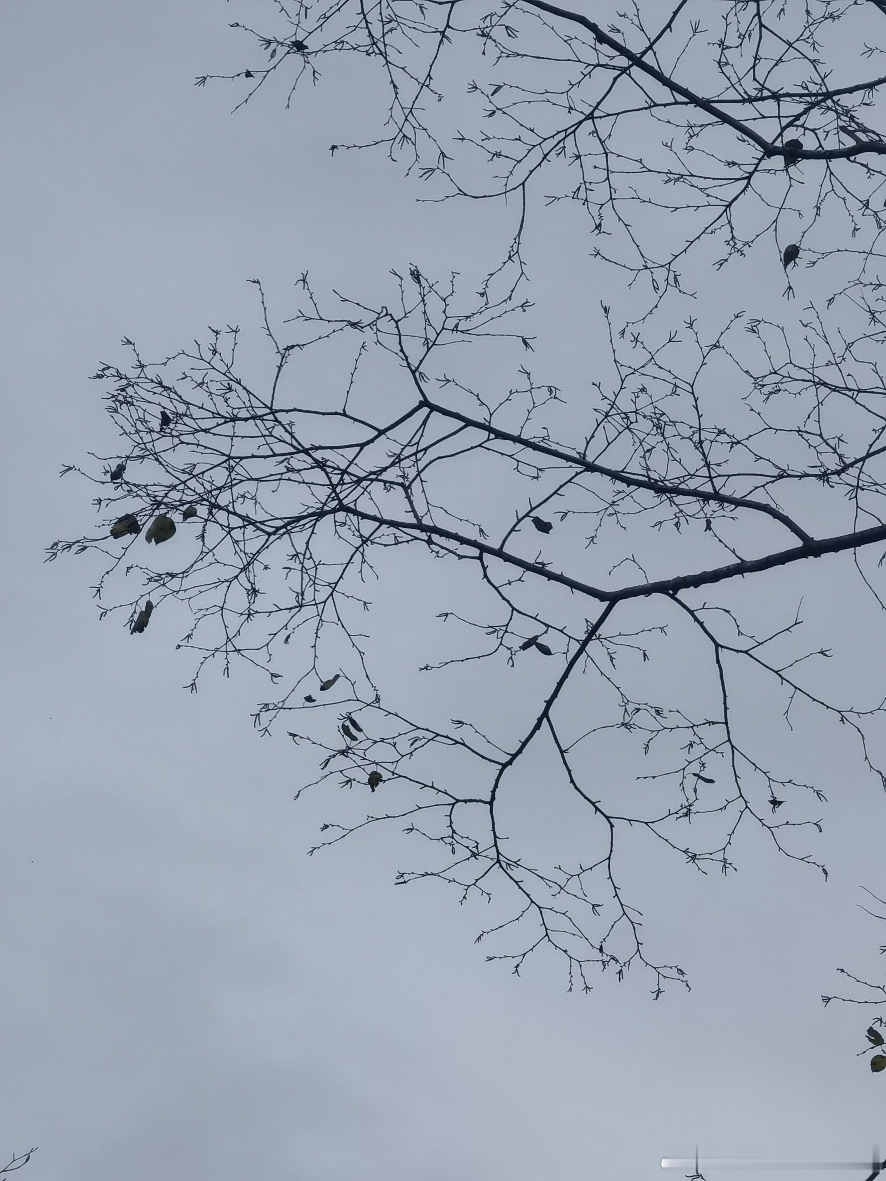 信息&电力信息存储+信息处理+信息传输+信息赋能基础层（存储、处理、传输）： 主