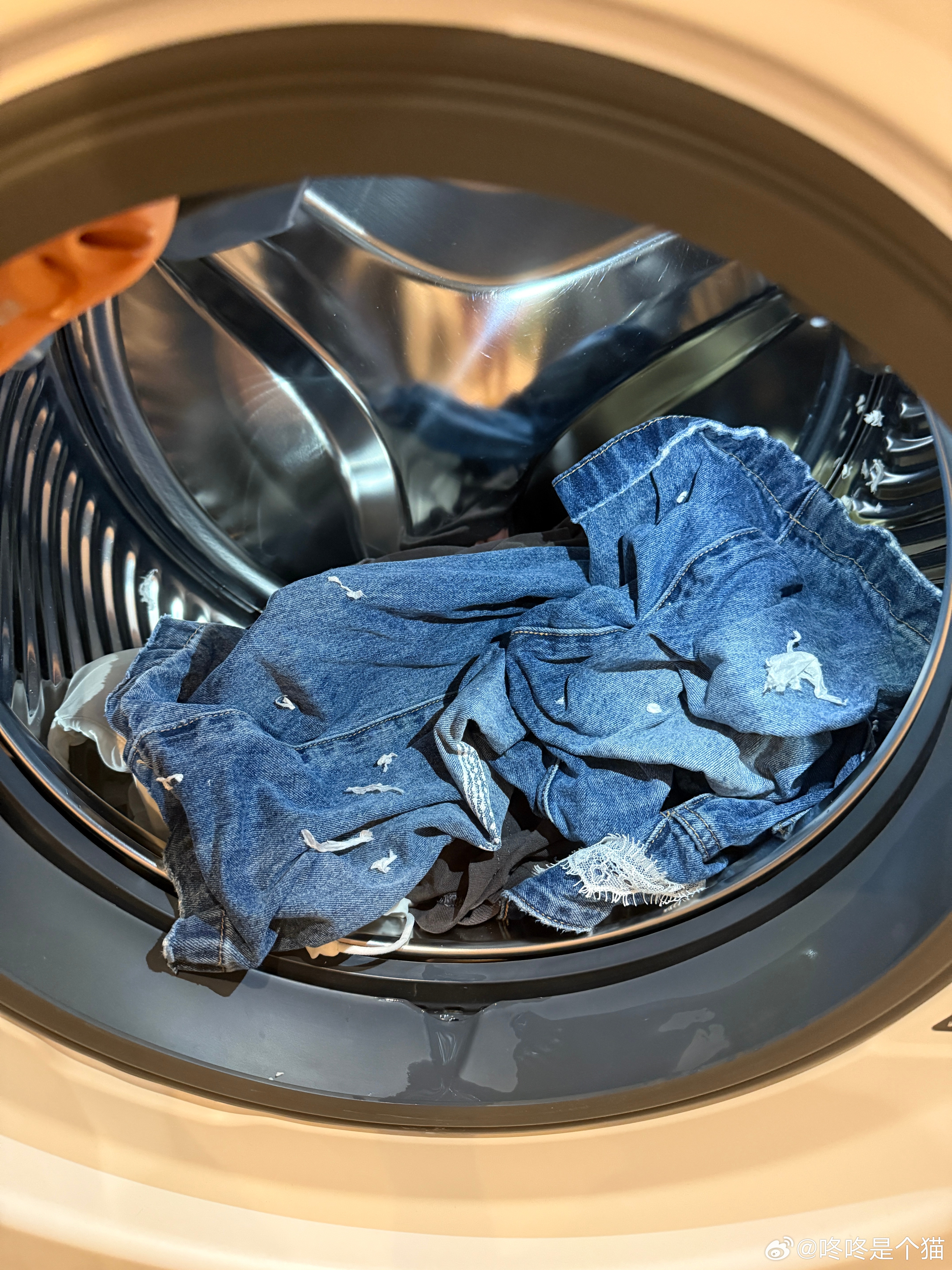 咚子提示：把裤子丢洗衣机之前要翻一下兜里有没有纸……能先安慰我一下再睡吗？已经钻