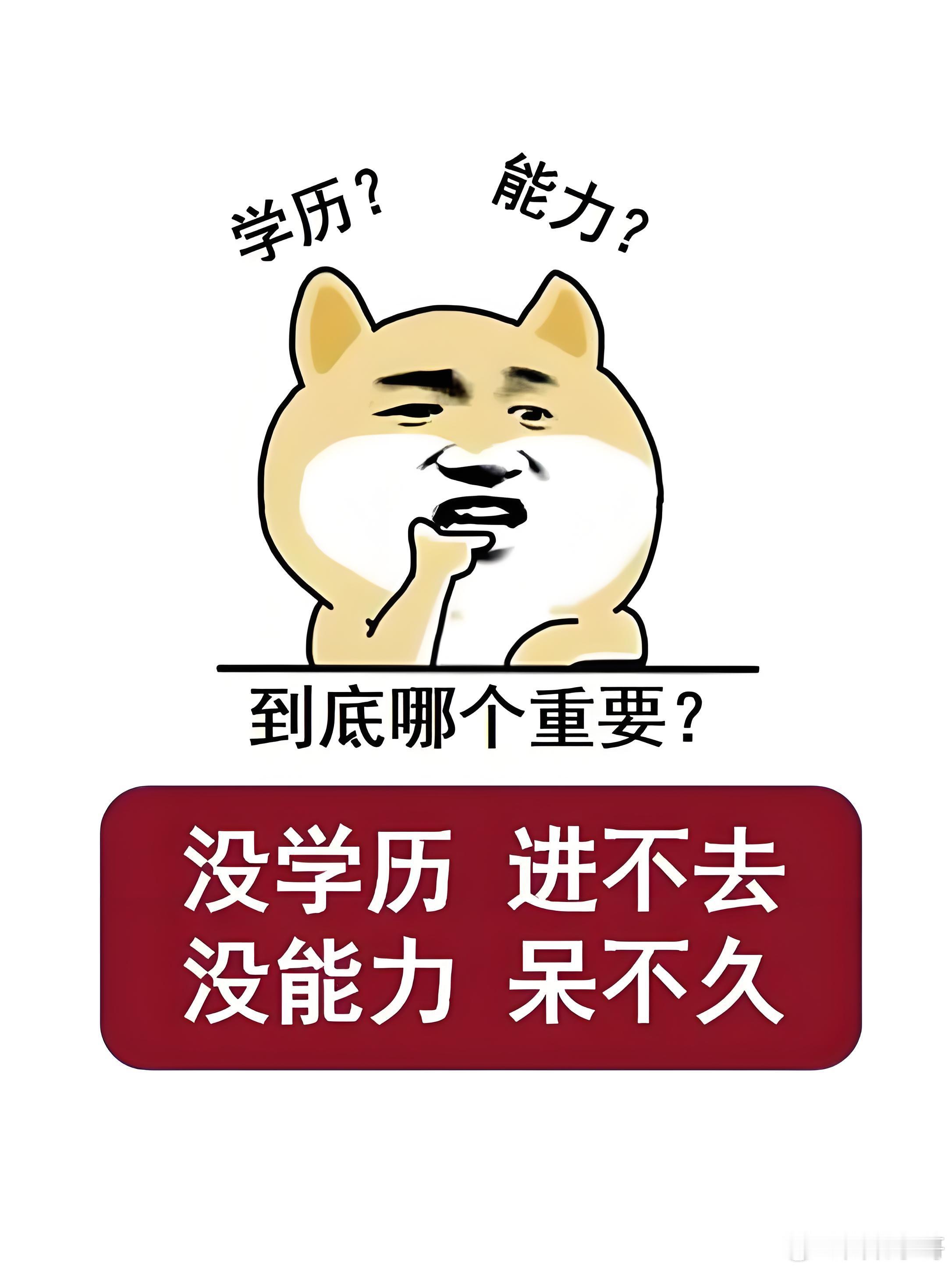 读书不是为了拿文凭、发财，而是为了成为一个有温度、懂情趣、会思考的人。读书，是为
