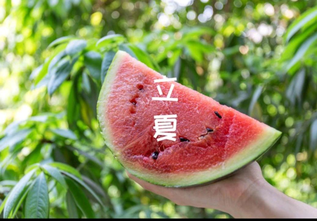 #上联：夏风送暖百花香，诚邀下联#阳光明媚万物生

今天是立夏，意味着春天已去，