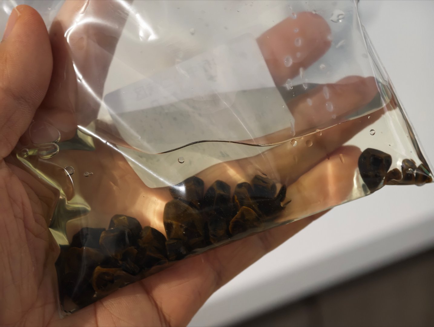 老婆终于来嘎胆了。医院给了一袋结石，这东西密度不大，很容易在水里浮起来