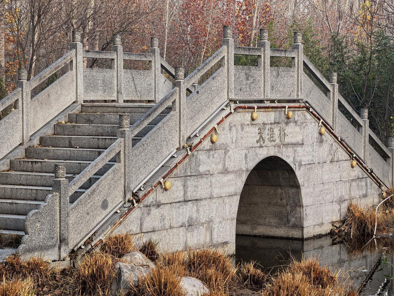难念的生意经。
今年的生意是真难做，明明难做，可偏偏新添了许多入行的人。
新人瞧