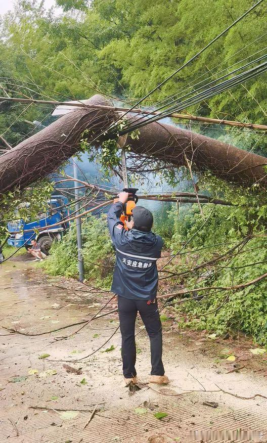 台州这支救援队从凌晨锯到白昼抢通道路道路被倒伏树木阻断，救援队伍连夜奋战，持续清