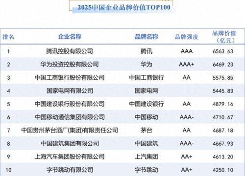 【贵州茅台成为《2025中国企业品牌价值TOP100榜单》前十唯一酒类品牌】
1