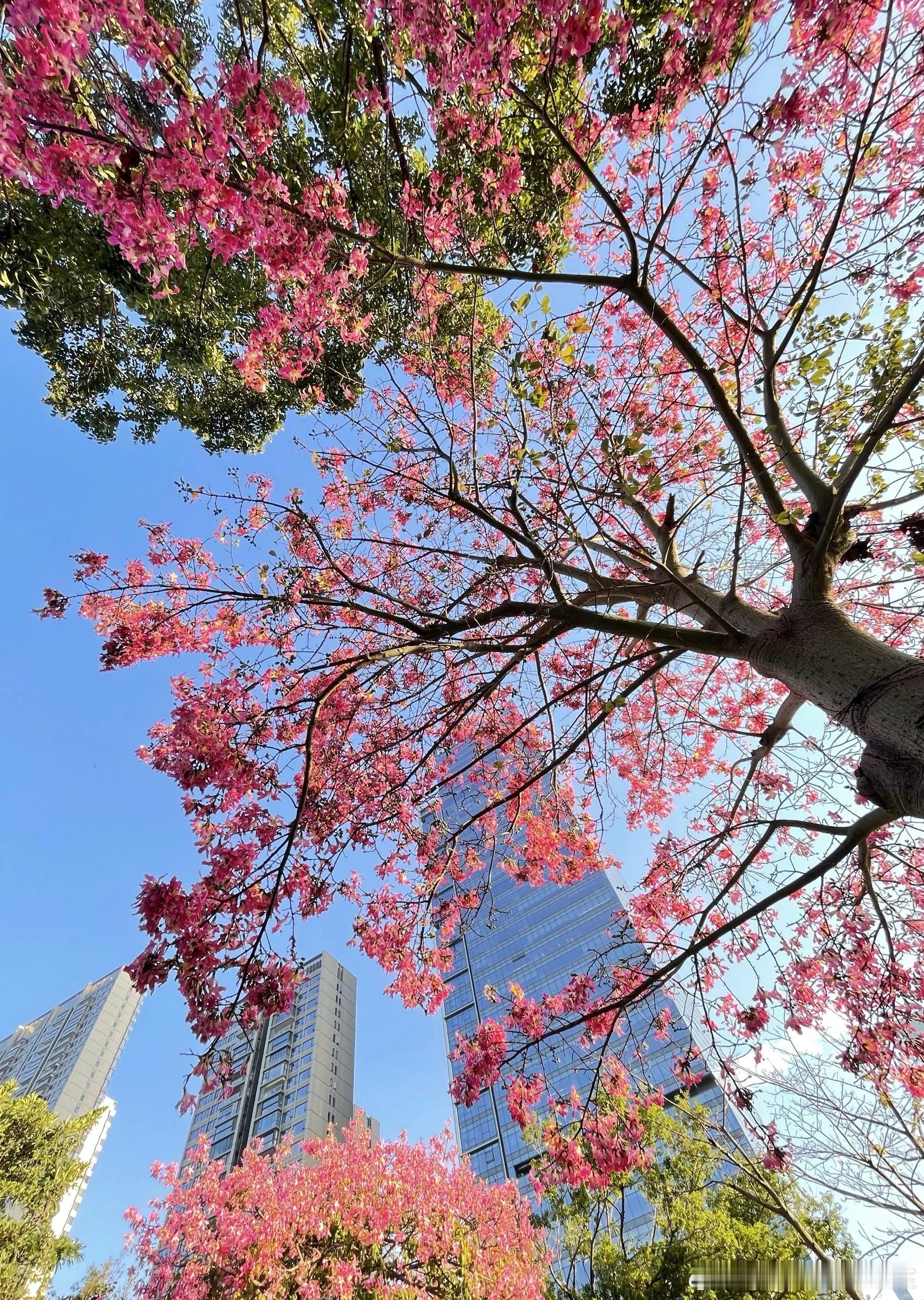 不同的保护标的、利害相关方，专利配置策略是不同的有的是基础保护，有的是主动保护，