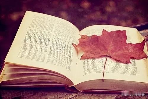 教师为什么又被称为“老师”？这看似简单的称呼背后，实则蕴含着中华文化的深厚底蕴与