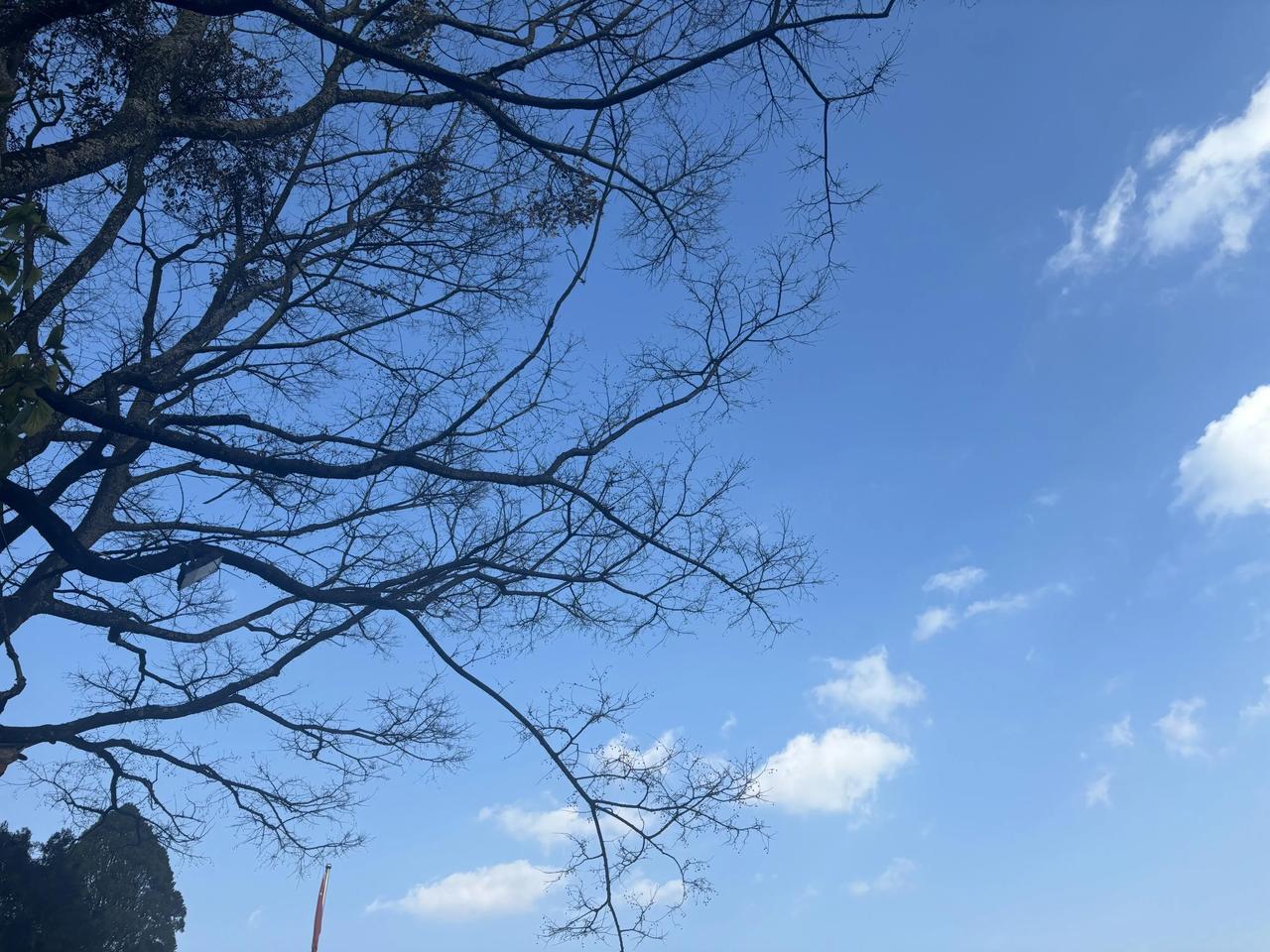 刚结婚3个月感觉老公不在乎怎么解
昨天说好去逛街 我看上件衣服 有点小贵 但是对