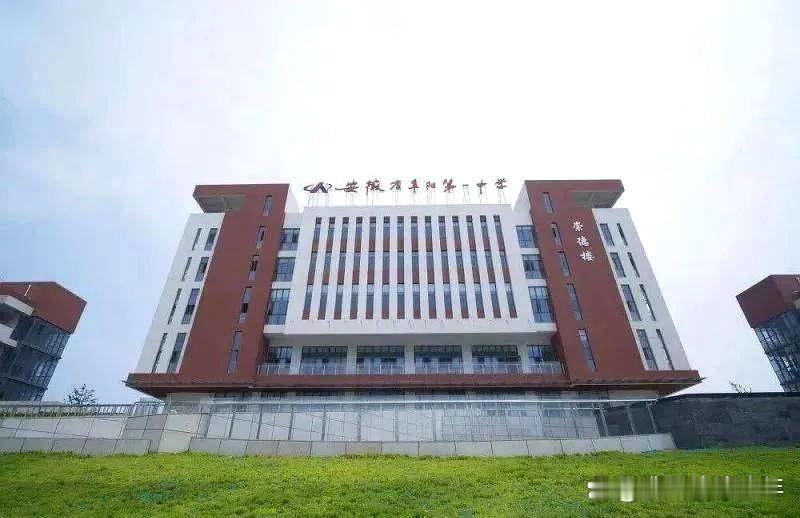 阜阳市的高中教育竞争非常激烈，很多家长和学生都在为如何选择一所优质公办高中而苦恼