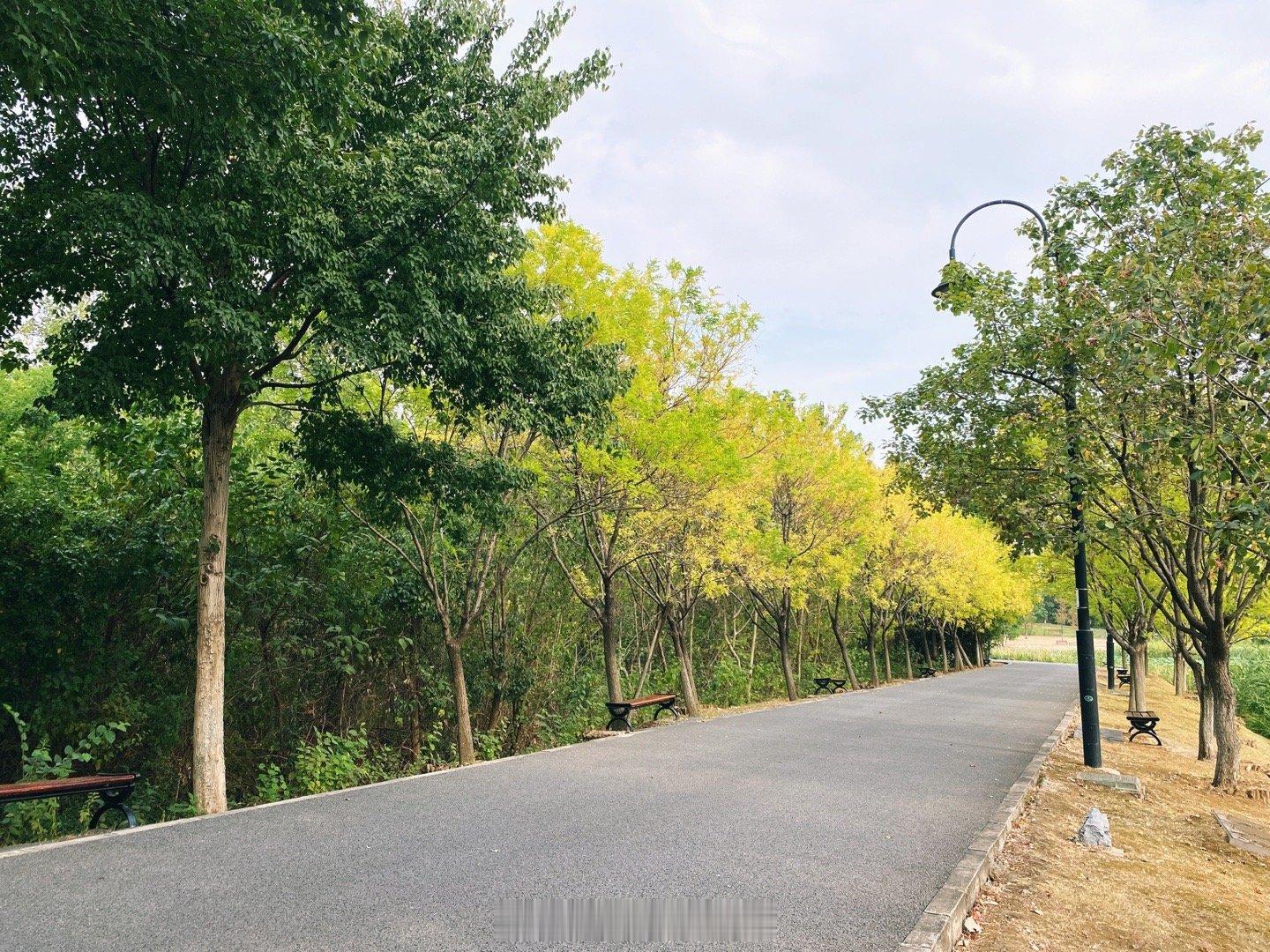 🚴‍♀️ ​​​