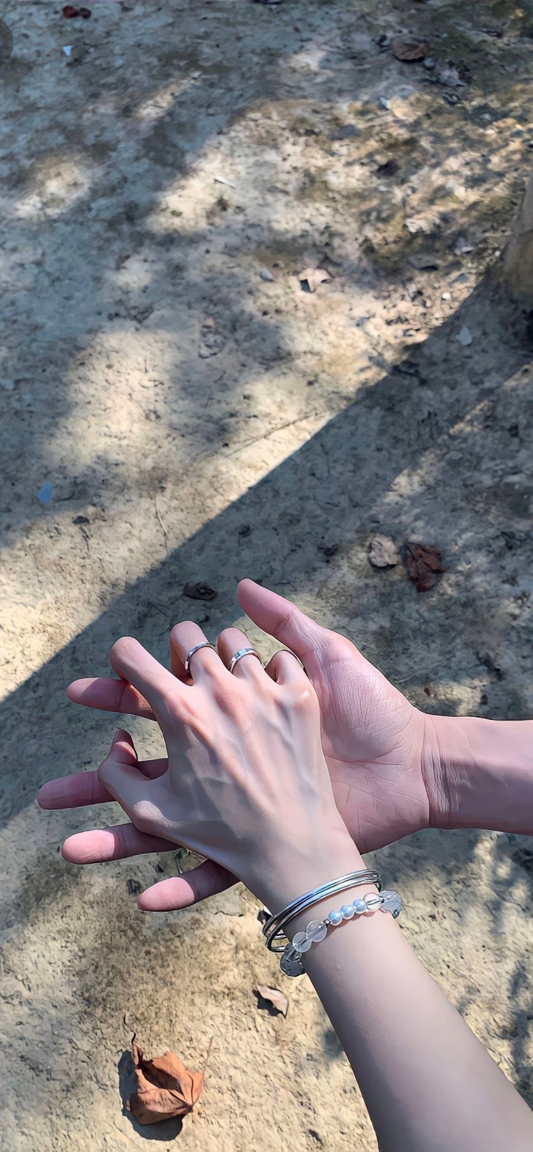 最近收藏的壁纸˶> ᴗ <˶ 