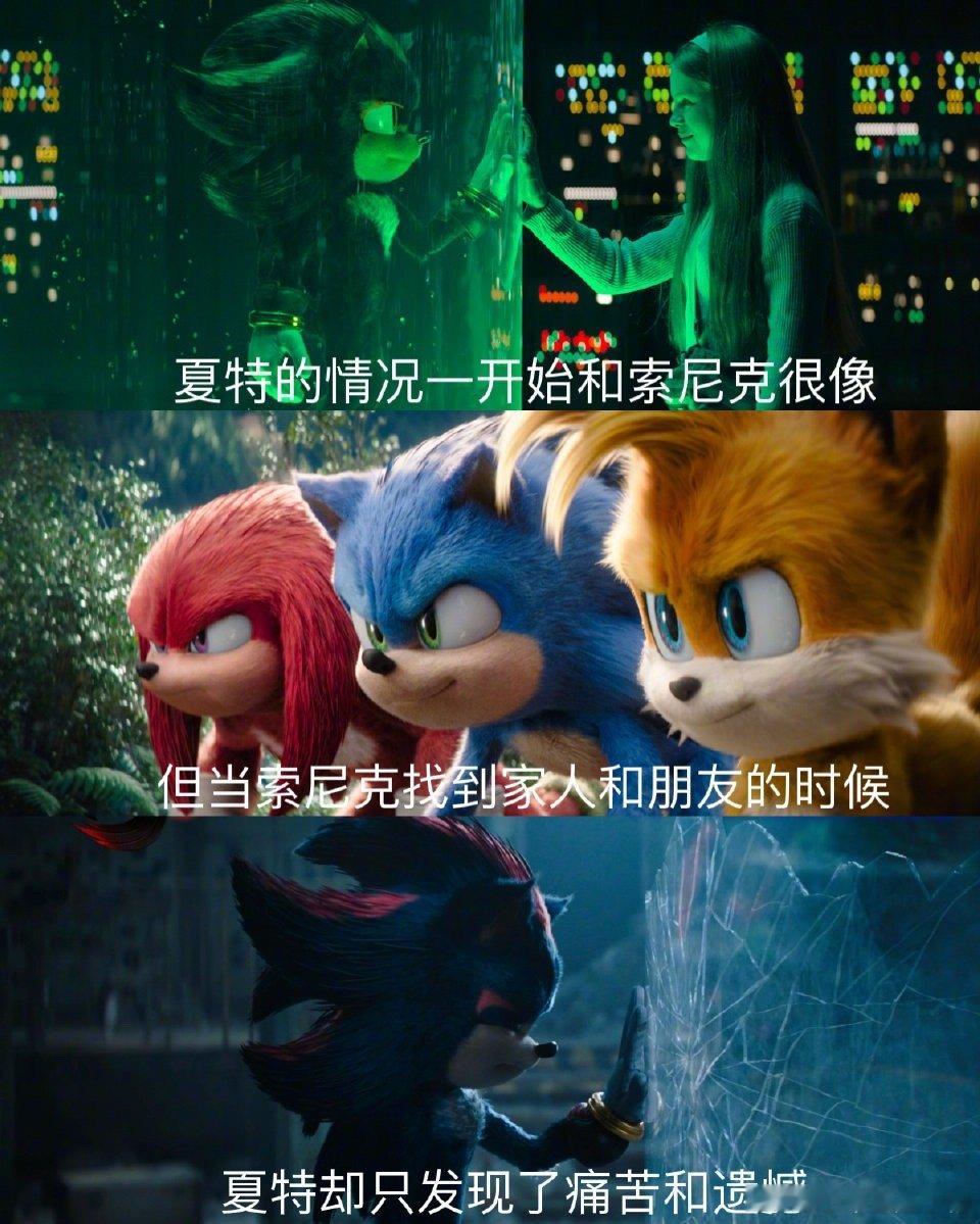 夏特 美强惨里最强的一款  在《刺猬索尼克3》中，夏特是那个被世界遗弃的强者，玛