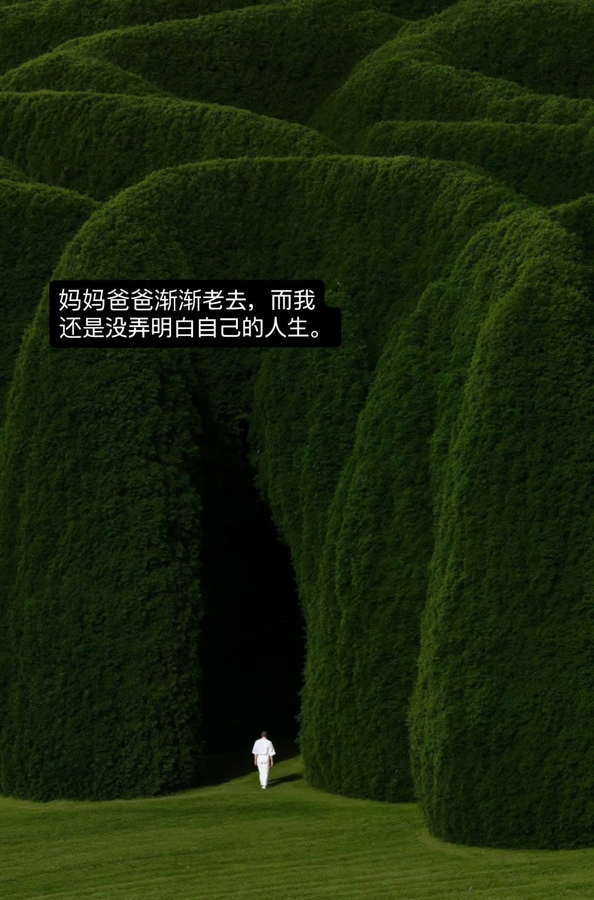 对人生好迷茫，都快四十岁了，还是找不到一点活着的意义，遇到点鸡毛蒜皮的小事就很想