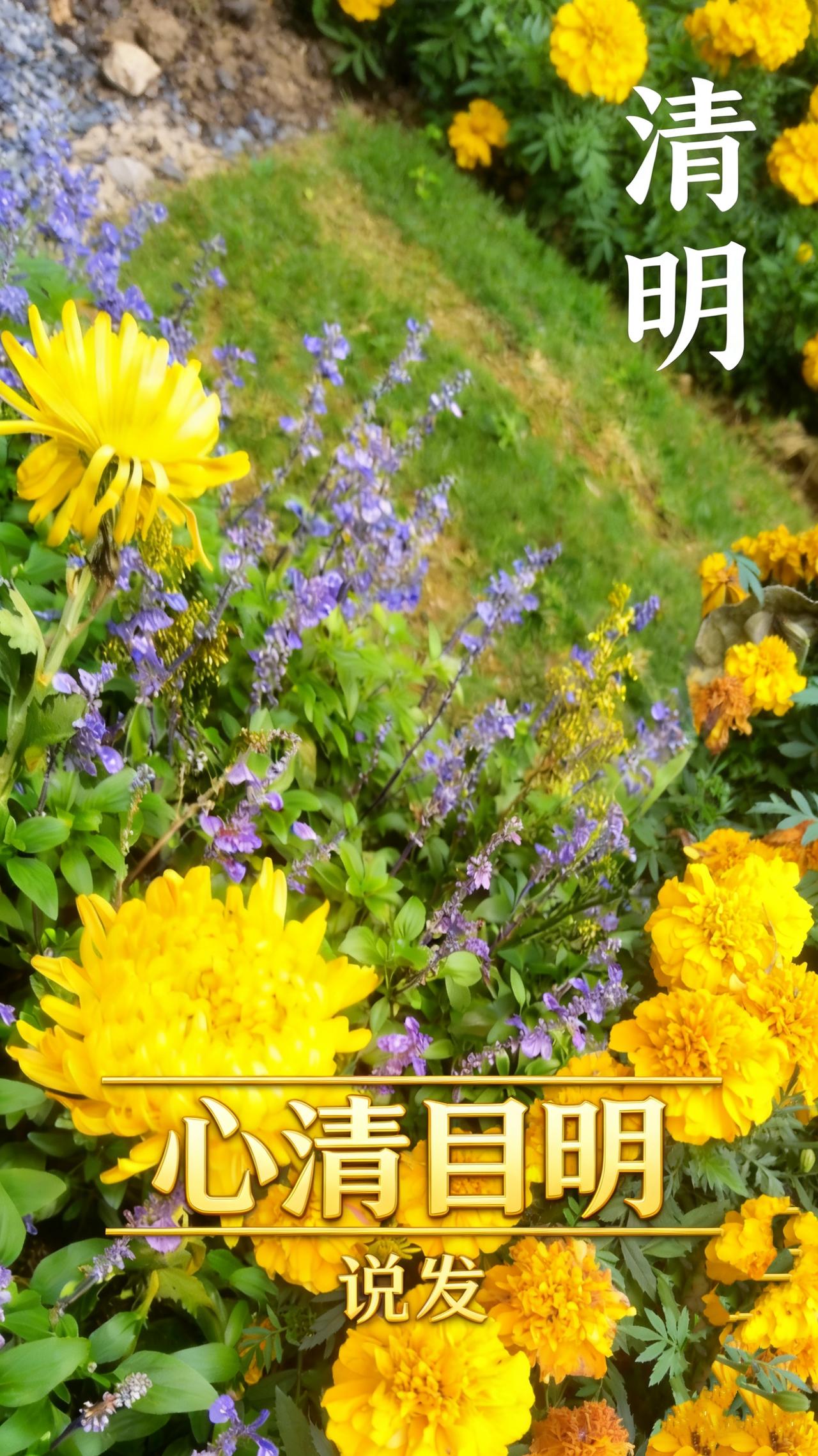 雨，是清明写给人间的信。
一滴，落在碑前的青草上；
一滴，砸在未说出口的思念里。