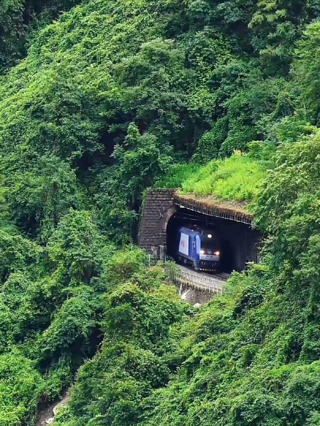 穿越秦岭的火车，太美了！
这一组照片在外网爆火，中国人在大力建设基础设施的同时，