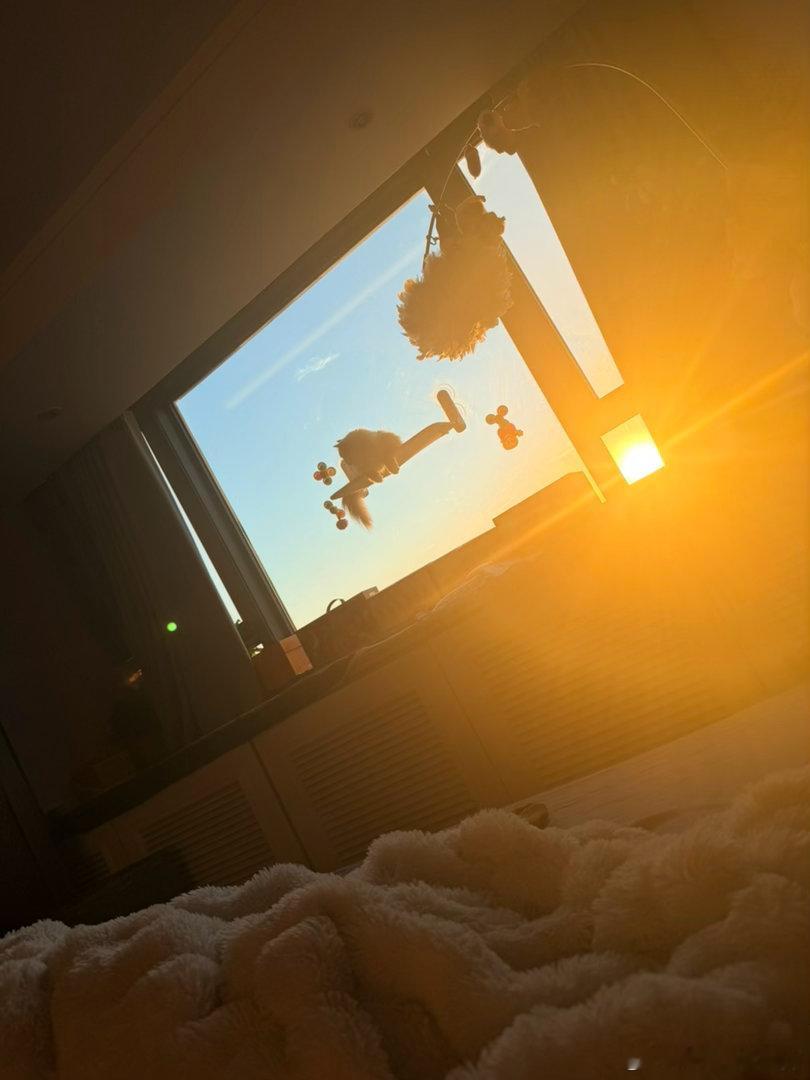 怎么形容这个瞬间呢？刚刚睡醒抬起头看到夕阳，又看到了猫妹妹，一切可真美好♥️ ​