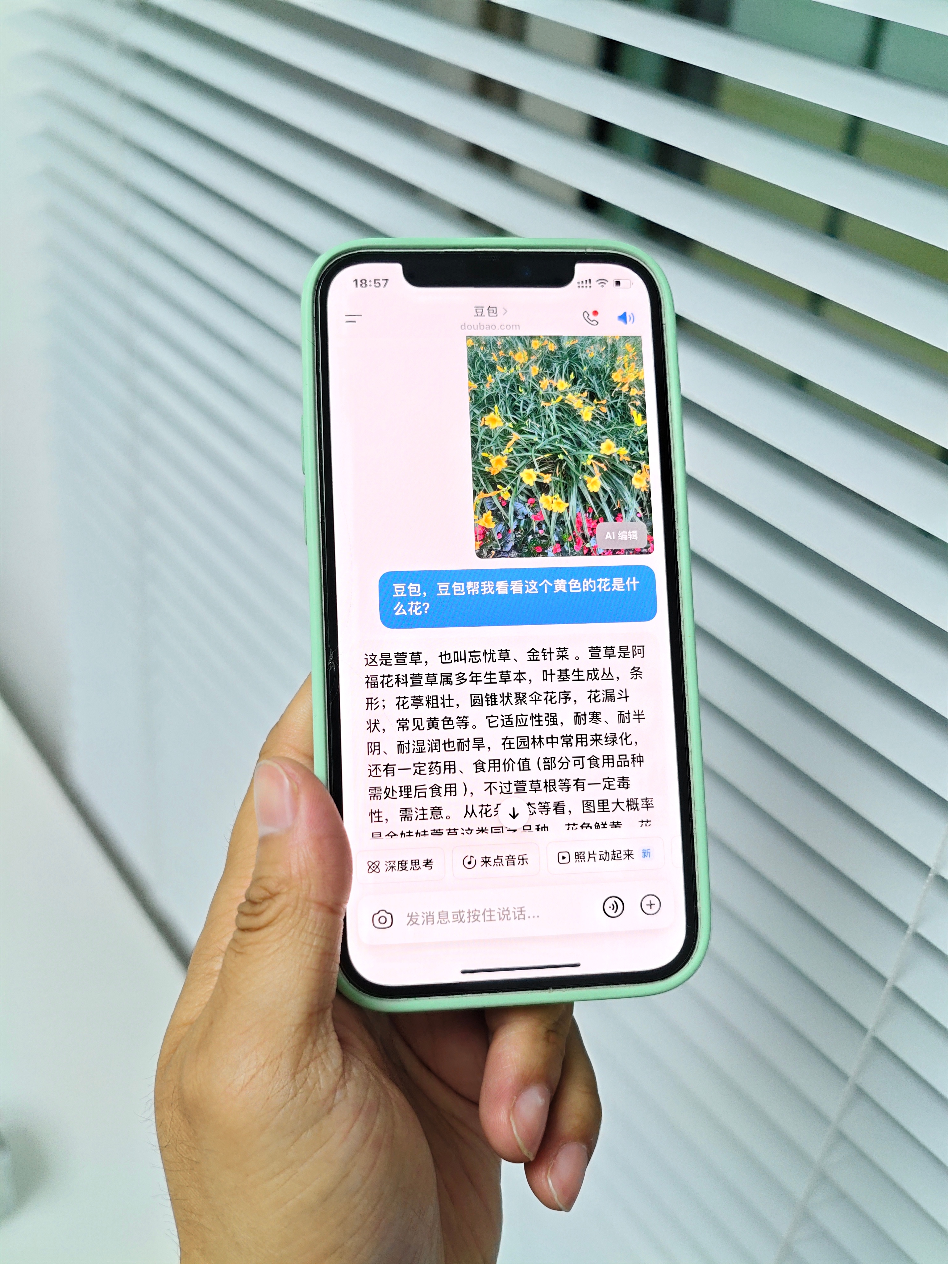 推荐大家给父母手机上装个豆包之类的 AI App，平时用起来会很顺手。老人消息闭