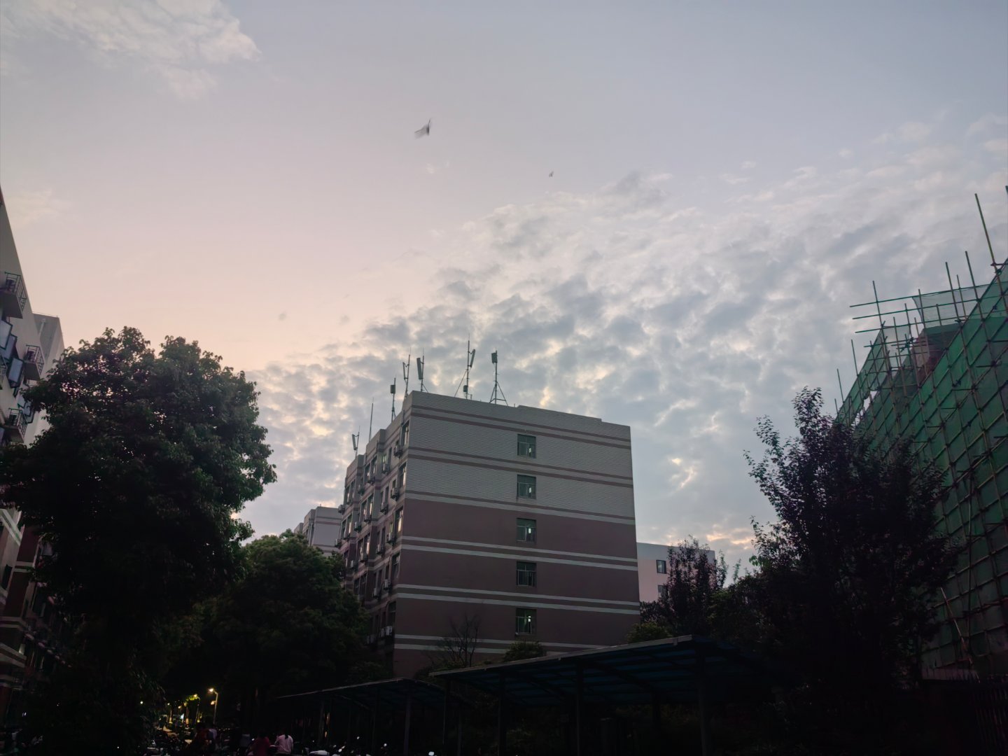 早安幸运，从不是偶然降临，每一步都有意义，你所做的每件事，都孕育着未知的惊喜。人