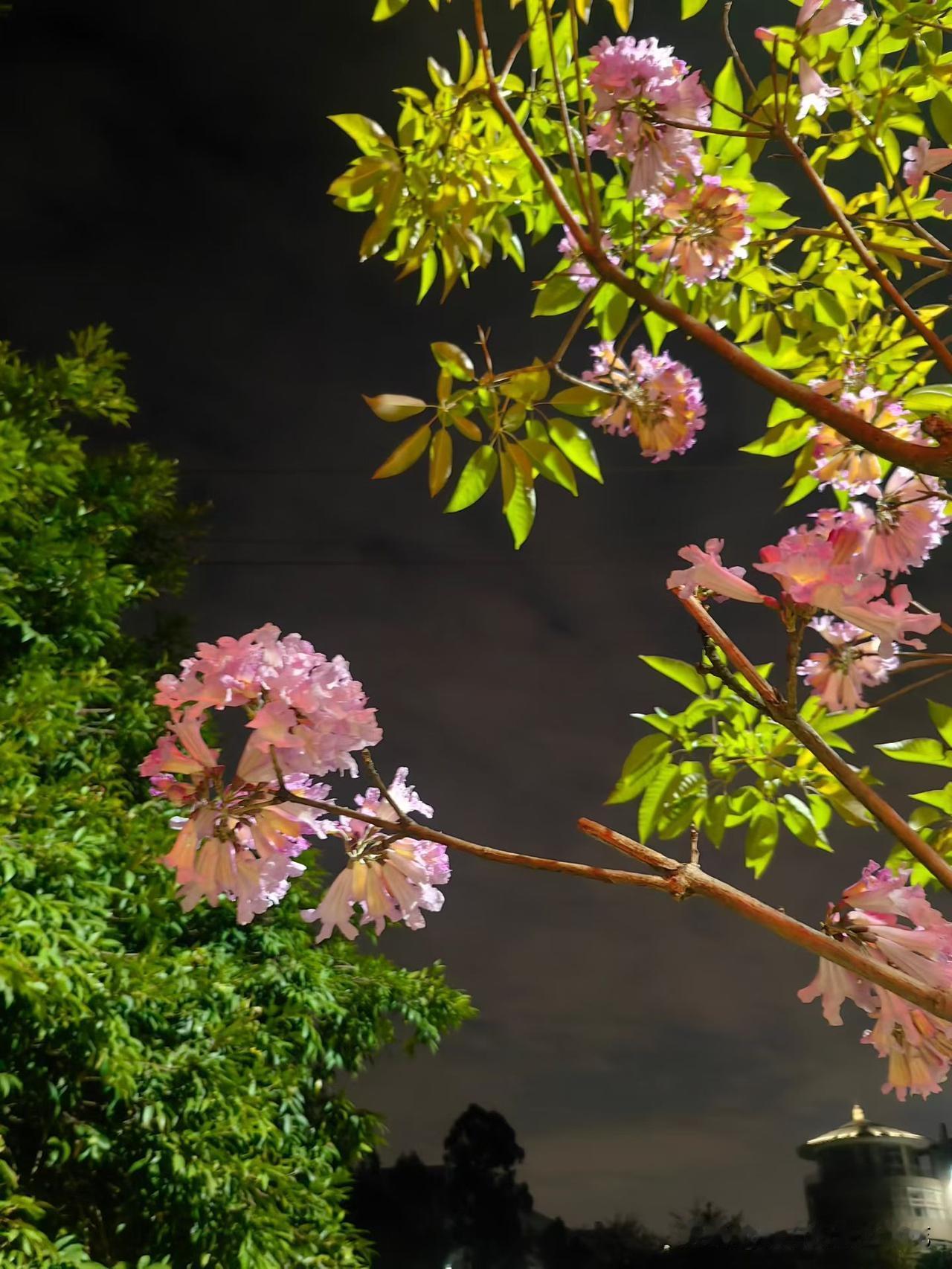 一个能让人尊重和理解的人，
一定是一个有大爱的人，
一定是一个会体谅别人的人，
