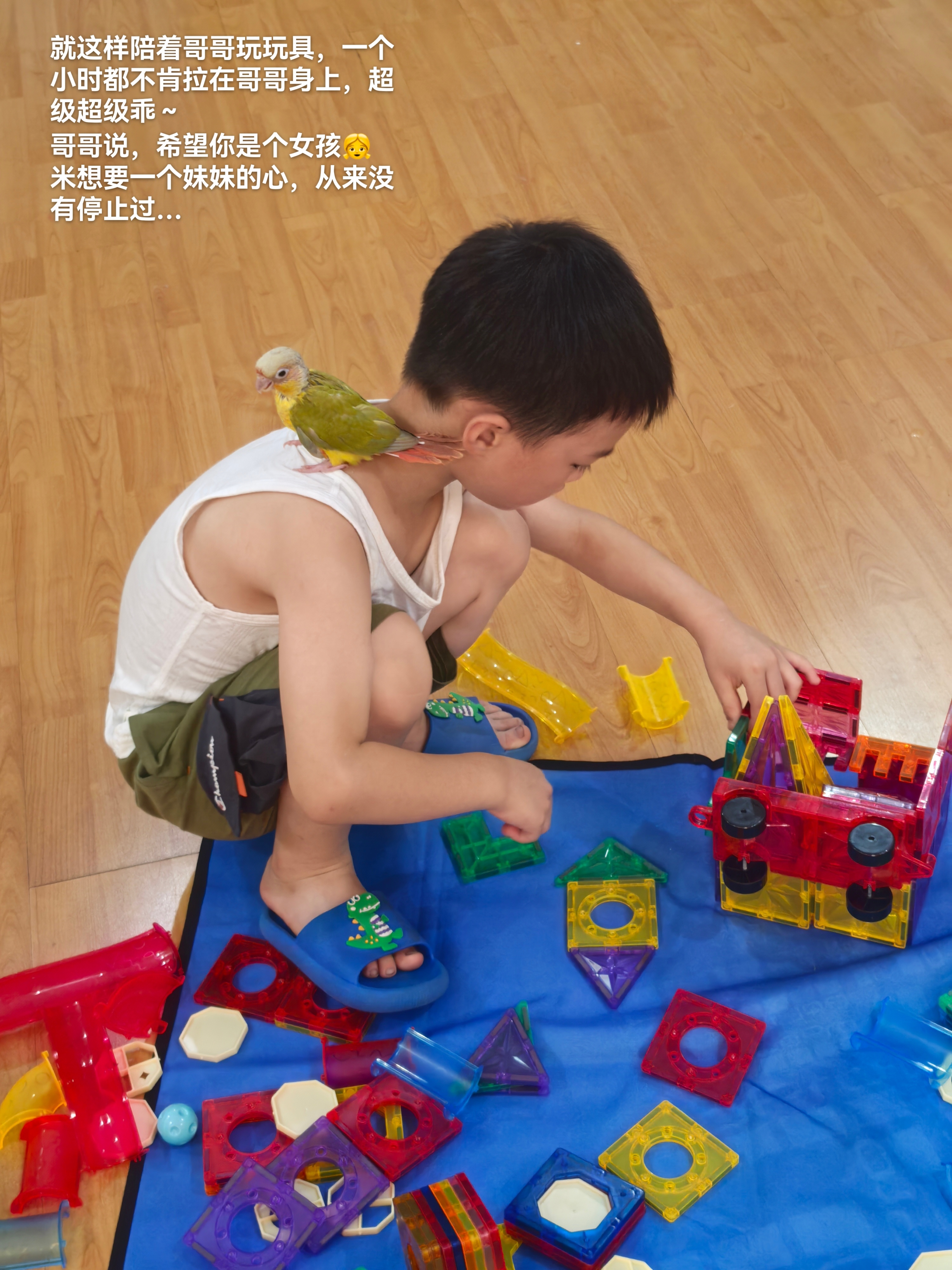 今日份Plog📷坐车出门咯！今天我对着彩虹弹了弹舌头，它就捡到了，坐在车上不时