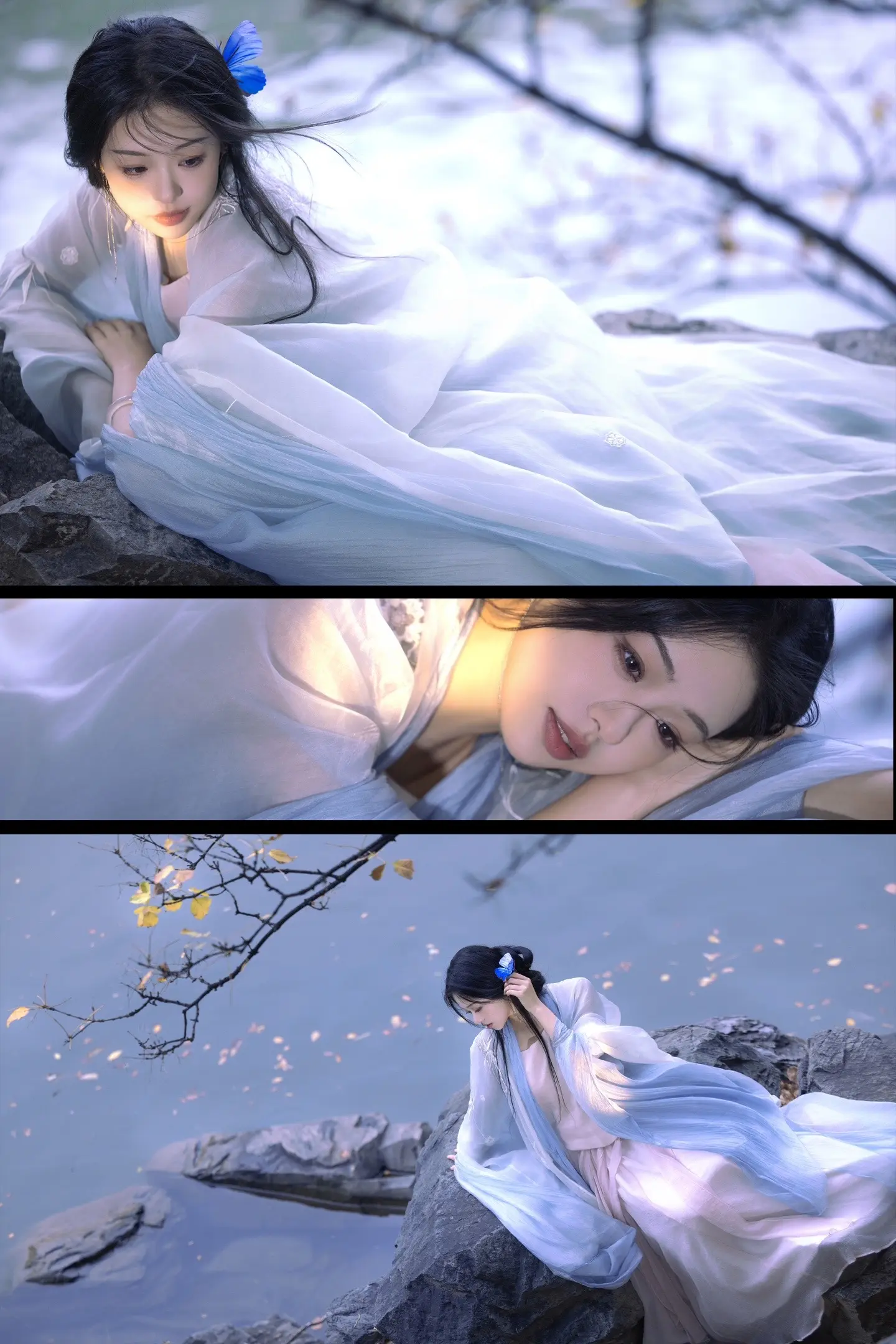 “我做了一个梦、梦里变成了一只蝴蝶”