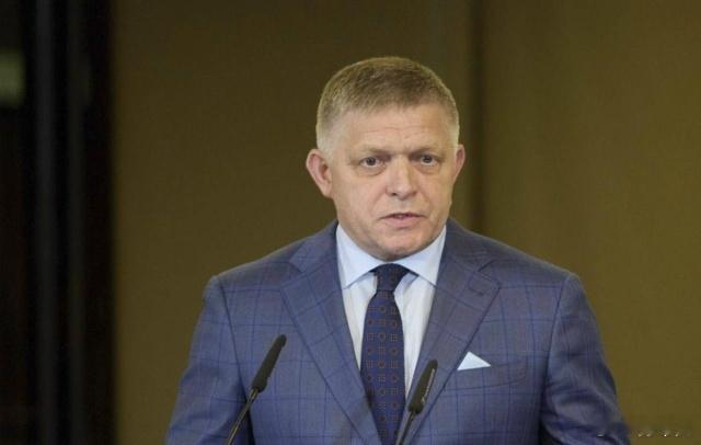 斯洛伐克停止向乌克兰提供紧急电力,总理罗伯特·菲佐说。“从今天开始,如果乌克兰要