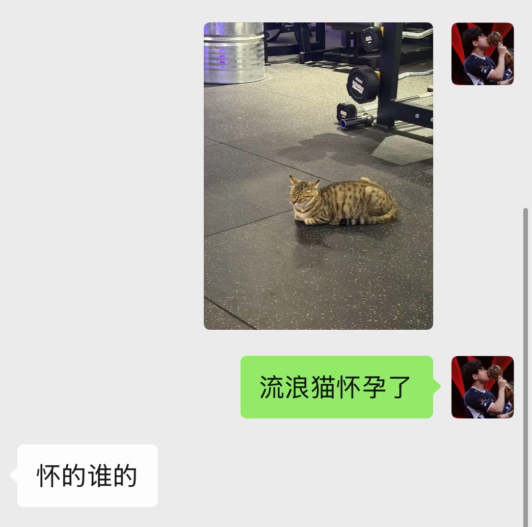 这话问的是认真的吗？很难想象能问出这种问题。
