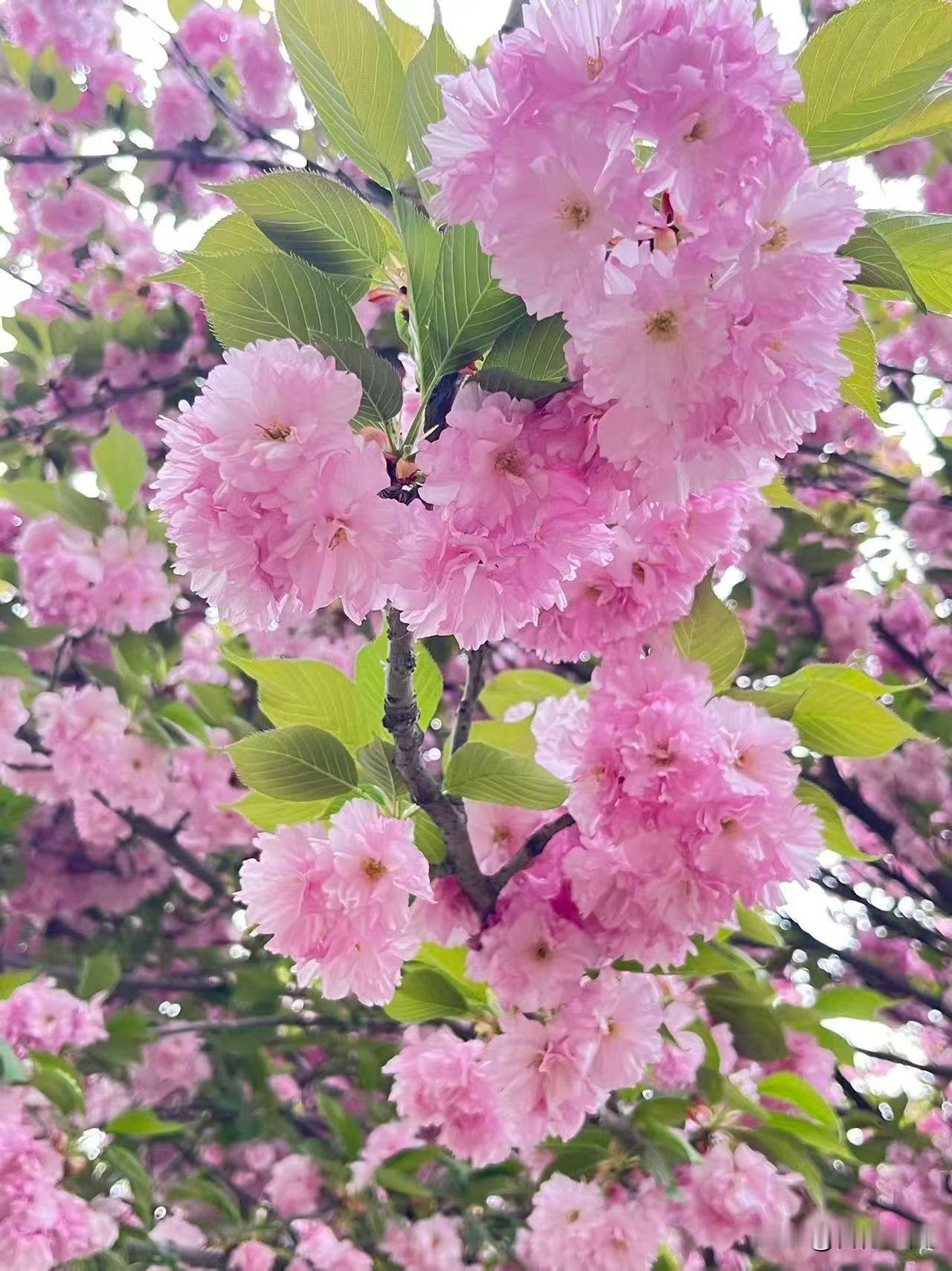 人活到一定年纪，终会慢慢看透很多事，看淡很多人。
 
年轻时总想着争输赢、论高低