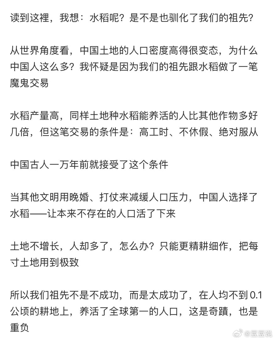 为什么中国人是天选打工人 