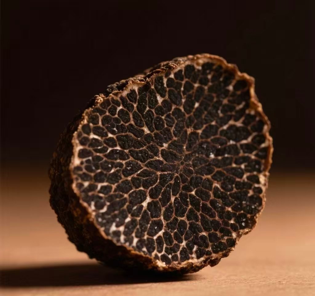 京东拍卖巴掌大野生黑松露 与很多野生菌不一样的是，成熟的松露才是宝，才有营养价值