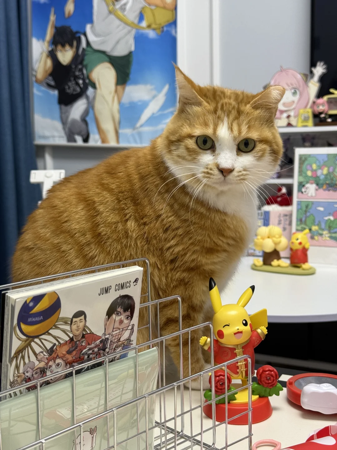 好久不见，爱来自奋宝