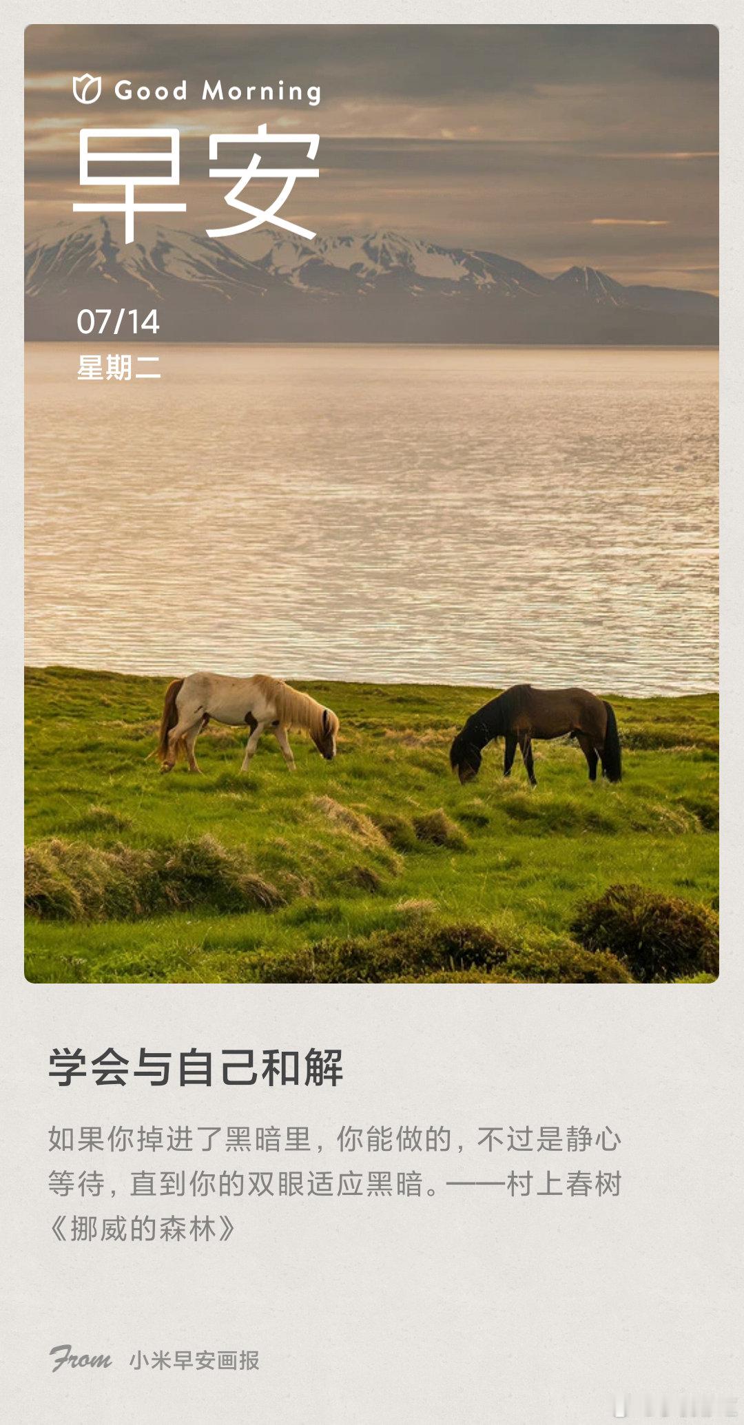 小米画报 学会与自己和解： 如果你掉进了黑暗里，你能做的，不过是静心等待，直到你