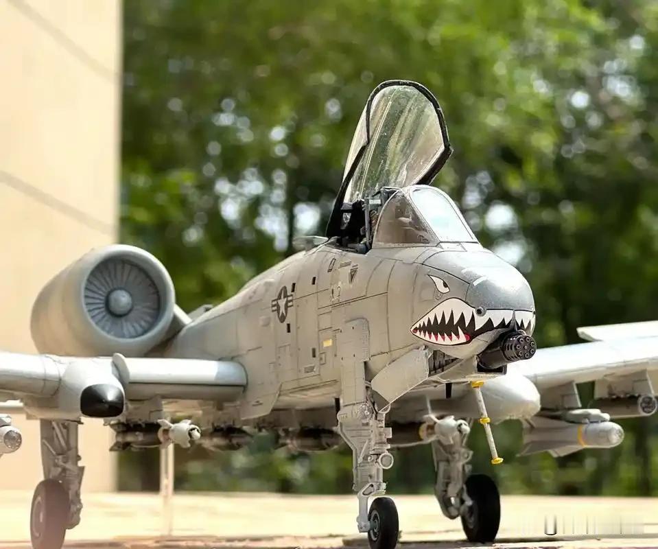 Link-16上身后，你觉得A-10是还能再战十年，还是只是延缓退役的过渡方案？