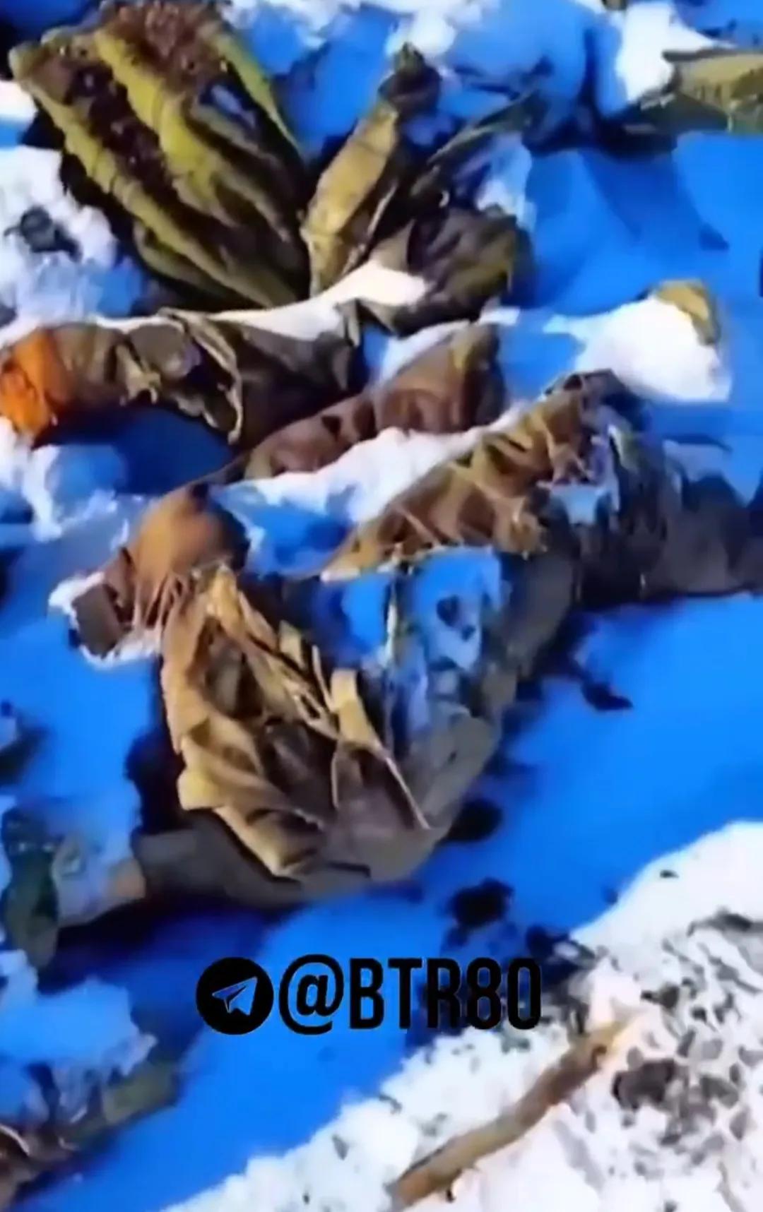 在雪地上永远睡过去、再也不会醒来的乌军士兵。
最近乌军的反攻全面受挫，有生力量损