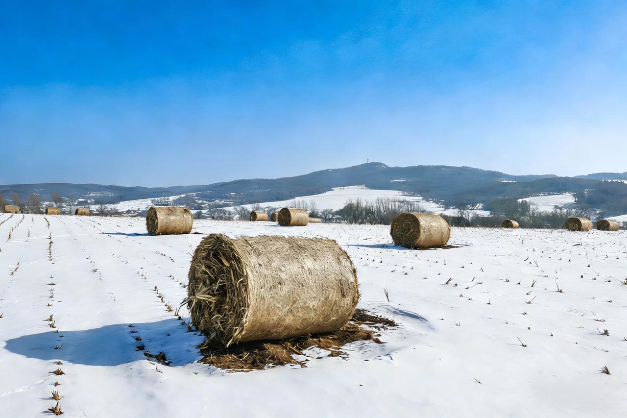 吉林省玉米秸秆打包离田还田比例的利弊关键在适度
 
吉林省作为黑土地核心保护区，