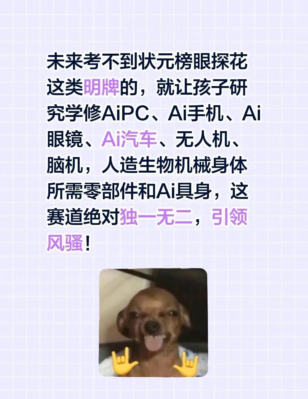 未来考不到状元榜眼探花这类明牌的，就让孩子研究学修AiPC、Ai手机、Ai眼镜、