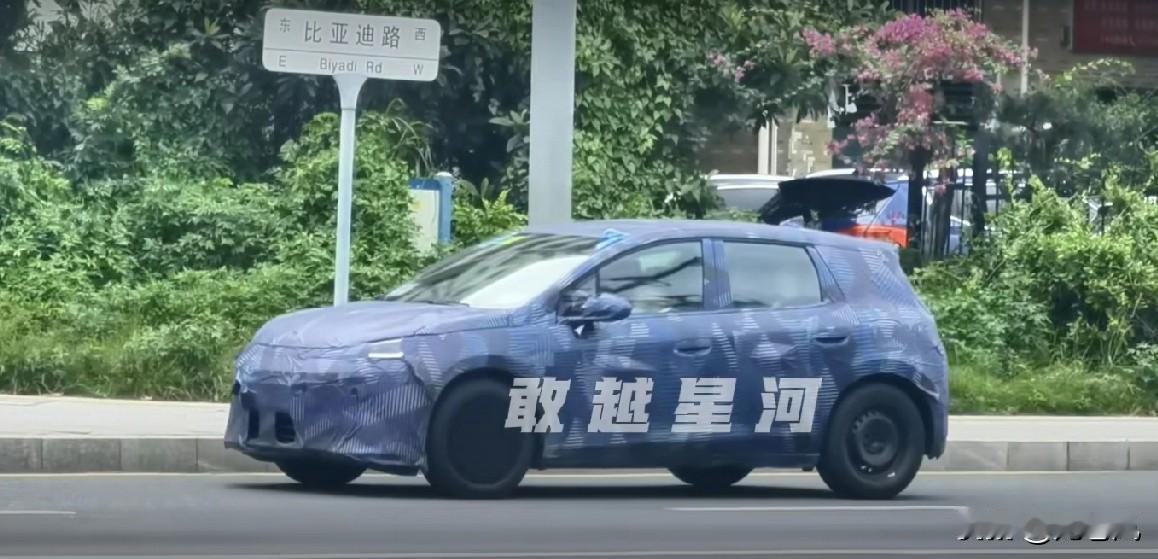 比亚迪给欧洲量身打造的海鸥-G
混动小车比例还不错，走卡哇伊路线的[微笑]
国内