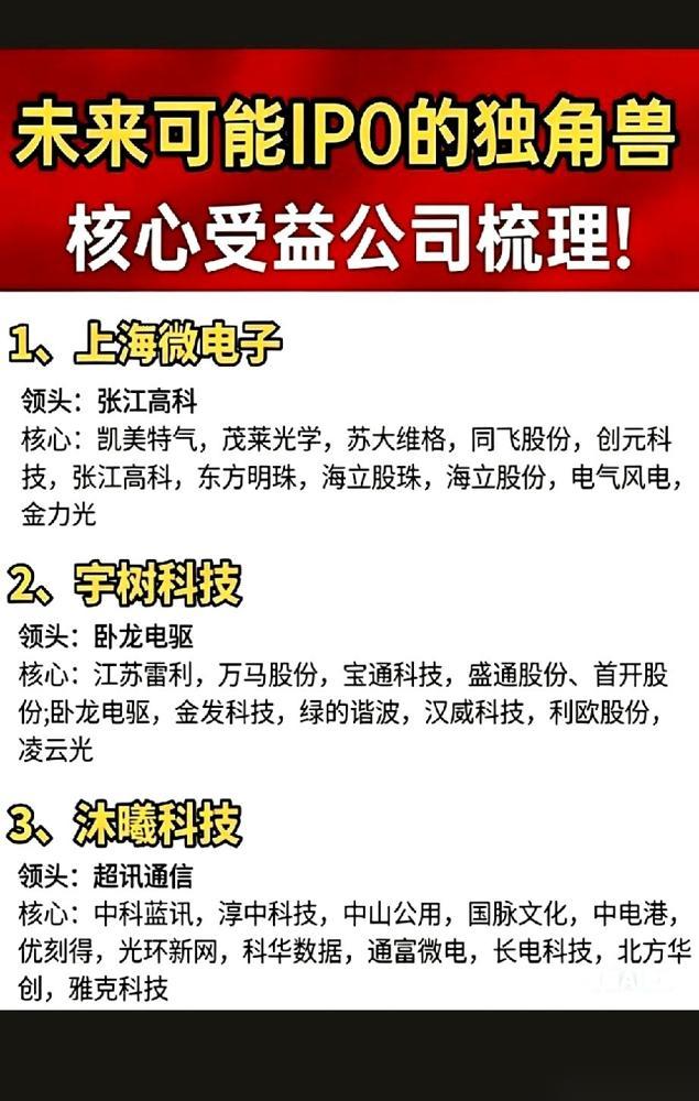 我跟你说，下周什么乱七八糟的概念都先放一放。就一件事，那个叫“上海微电子”的，要