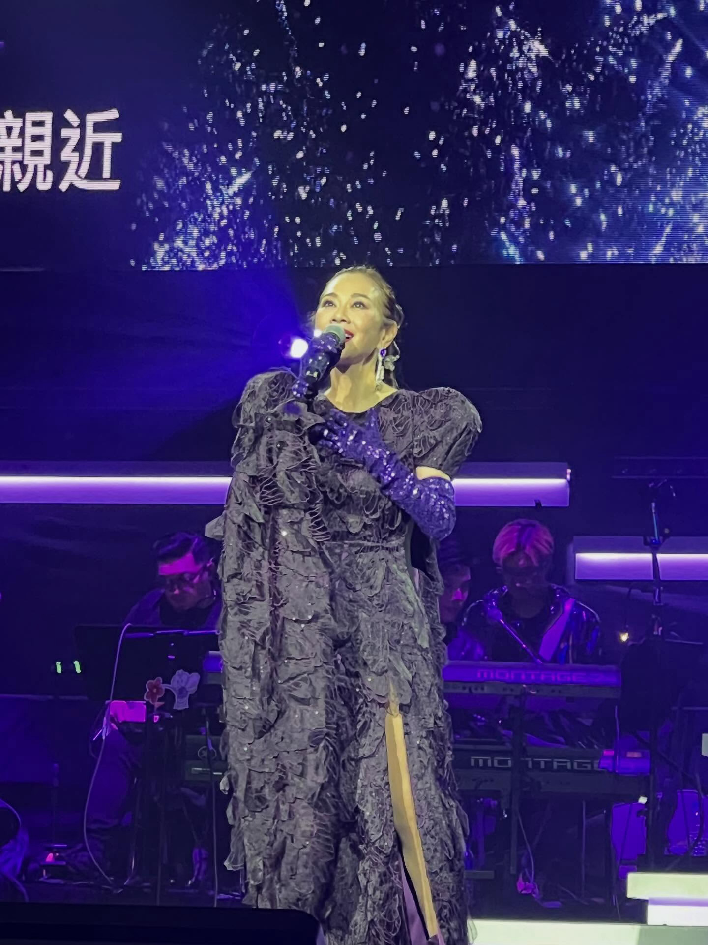 洪欣、谢天华、关宝慧看陈松伶香港演唱会 