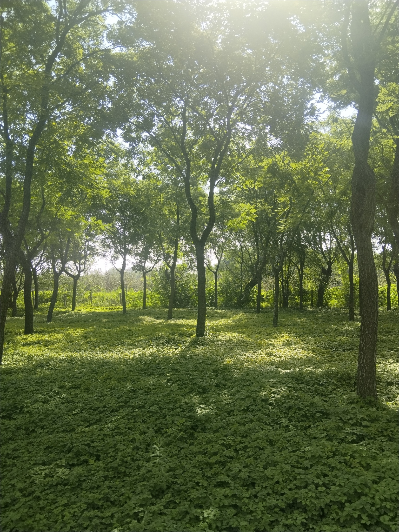 骑自行车的人。 镜头里，一个骑车的孩子领着骑车母亲，一起行走……今日份手记 给生
